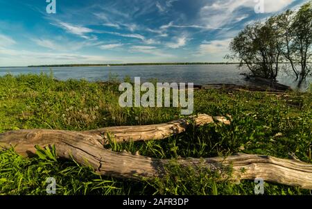 Le 1 mai, 2019 Driftwood le long du fleuve Mississippi, au sud de New Madrid, MO. Banque D'Images