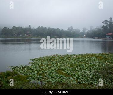 Scenic Lac Yercaud dans une station de colline près de Salem, Tamil Nadu, Inde Banque D'Images