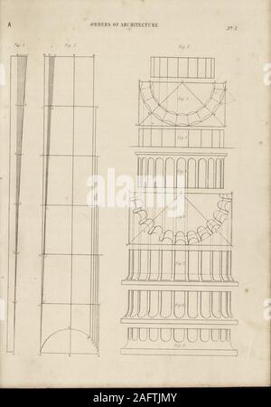 . Cottage, lodge, villa et l'architecture. Ng, et sont dits avoir été ses inventeurs. Sans beaucoup de comparaison, l'ordre appearsto une simplification de l'époque romaine, ayant peu d'autre Dorique pour la distinguer de cette manière, en plus de sa*massivité et lisse l'apparence. La hauteur totale de l'ordre, la Plaque D, étant divisée en cinq parties égales, les quatrede sont donnés à la colonne, et les autres parties de l'entablement. L'columnis sept d'un diamètre élevé ; il est donc plus courts par rapport à son diamètre d'un otherof les ordres. La capitale est une semi-diamètre et haute ; la base, Banque D'Images