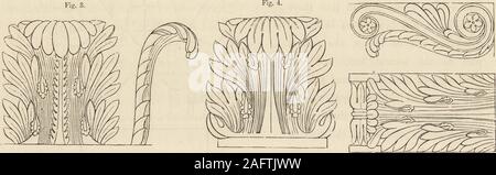 . Cottage, lodge, villa et l'architecture. 20 ORDRES DE L'ARCHITECTURE. L'entablement, qui est donc un quart de la hauteur de la colonne, ou deux et une halfdiameters élevé. L'architrave est trois-quarts d'un diamètre élevé, la frise est deux-tiers, et la corniche un et un douzième. En divisant la hauteur de l'architrave intofive, une de ces pièces est due au filet, l'étirèrent cyma, reversa et le talon;les quatre autres pièces sont répartis à égalité entre les trois qui composent la façade Fig. 5. reste de l'architrave. La frise est communément ornementées, quoique souvent leftquite fla Banque D'Images