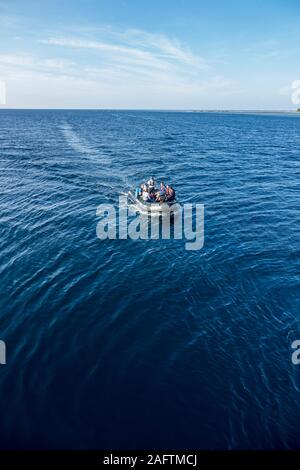 De zodiacs du Ponant L'Austral expedition cruise ship en tenant les passagers : plongée libre au parc marin de Wakatobi, Indonésie Banque D'Images