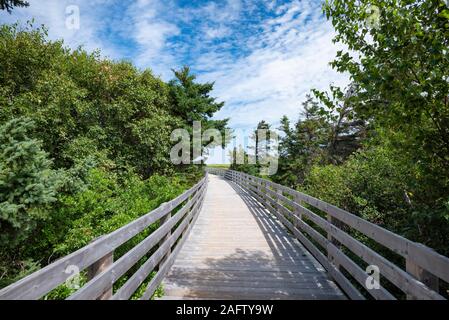 Passerelle en bois sur dune sentier, Sentier des dunes de Greenwich, Prince Edward Island, Canada Banque D'Images