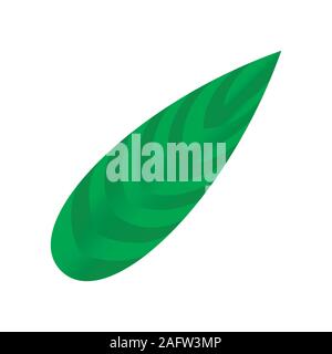 Feuilles de plantes tropicales. Les éléments isolés Illustration de Vecteur