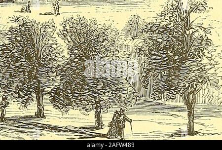 . William H. Seward's voyages autour du monde. MORMON TABERNACLE. Pendant le service, jusqu'à présent, le silence était assise une Brigham Toung andmeditative observateur. Maintenant il est passé, et un profond silence cameover la congrégation. Il habita brièvement sur le dévouement, le zèle,la foi, la constance, les conflits, et de souffrances, des fondateurs de la 18 UNITED STATES, Canada, et de l'océan Pacifique. L'Église mormone. De son passé de triomphes et de sa présente security,il a déduit la faveur de l'Auteur divin de la religion chrétienne.Comme l'orateur précédent, il semblait éviter le sujet de po-lygamy, tandis qu'il réclamait pour le nouveau ch Banque D'Images