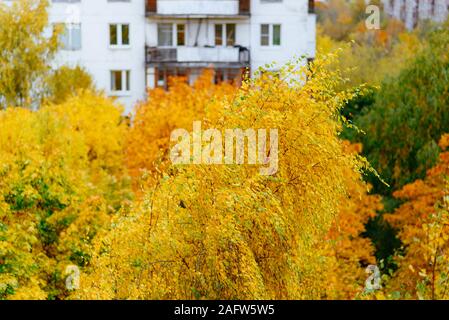 La vue depuis la fenêtre sur la Chertanovo à Moscou à l'automne Banque D'Images