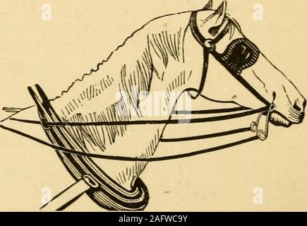 . Un traité sur le cheval et ses maladies : illustré, contenant un 'Index des maladies,' qui donne les symptômes, cause, et le meilleur traitement de chacun, une table donnant les principales drogues ..., une table avec une gravure de la dents du cheval à différents âges ..., une précieuse collection de recettes, et bien d'autres informations précieuses. Une manière très stupide OFTORTURING LES CHEVAUX. Une meilleure et plus humaine dans l'OPTREATING notre ami fidèle. L'ÂGE DU CHEVAL. 43 L'ÂGE DE LA HOESE, déterminée par l'apparition des dents. Ml Banque D'Images