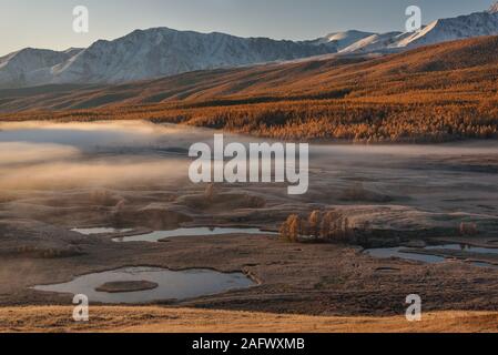 Voir l'automne étonnant avec des montagnes couvertes de neige et une forêt d'or, blanc duveteux brouillard sur les lacs de la vallée, et de l'herbe dans la gelée blanche au lever du soleil Banque D'Images