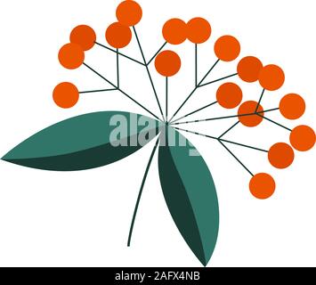 Vector Illustration, simple élément. Twig avec feuilles et fruits orange. Illustration de Vecteur