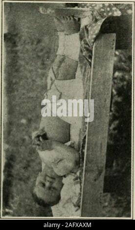 . Opérations du sixième congrès international sur la tuberculose. Washington, le 28 septembre au 5 octobre 1908. o. O Banque D'Images