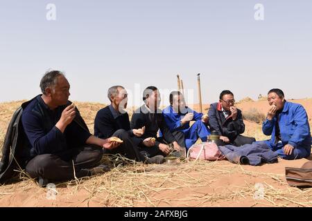 (191217) -- BEIJING, le 17 décembre 2019 (Xinhua) -- les membres du personnel de la ferme forestière Babusha déjeuner lors d'une pause après le travail de prévention et de contrôle de la désertification dans un désert, dans le comté de Gulang, nord-ouest de la Chine, la province de Gansu, le 26 mars 2019. Une collection de moments réconfortants en 2019 par Xinhua les photographes. (Xinhua/Peishen ventilateur) Banque D'Images