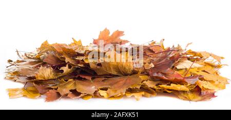 Feuilles jaunes sur fond blanc. Banque D'Images