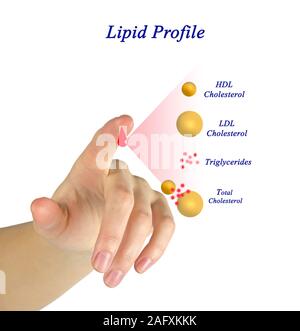 Présentation du profil lipidique Banque D'Images