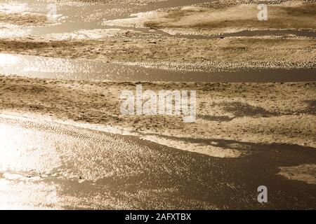 Paysage de prairies Banque D'Images