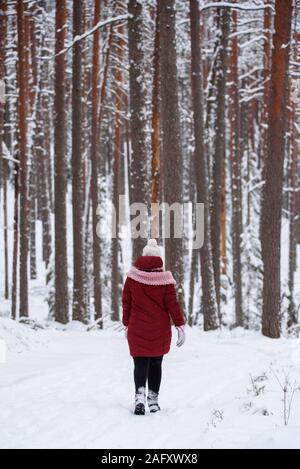 GULBENE, la Lettonie. 24 décembre 2018. Woman wearing red veste d'hiver, les promenades dans la forêt enneigée. Les arbres couverts de neige et piste forestière. Banque D'Images