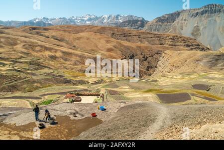 Les agriculteurs épandent du fumier de vache dans un champ en préparation pour une récolte du grain dans le Spiti Valley et de l'Himalaya en été dans Komic, Himachal Pradesh, Inde. Banque D'Images