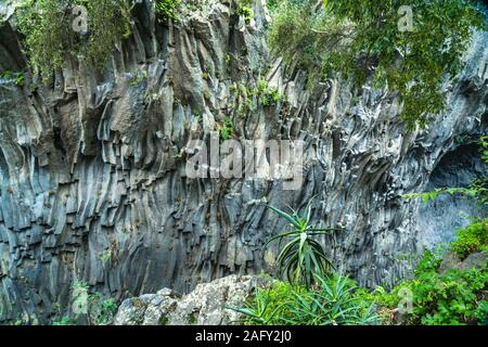 Schwarzes Lavagestein in der Schlucht Gole dell'Alcantara Alcantara am Fluss, sicilia, Italie, Europa | murs de lave noire de la Gole dell'Alcanta Banque D'Images