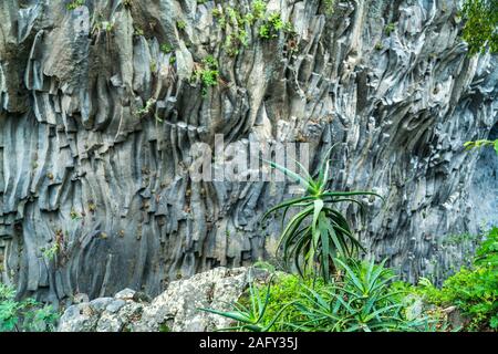 Schwarzes Lavagestein in der Schlucht Gole dell'Alcantara Alcantara am Fluss, sicilia, Italie, Europa | murs de lave noire de la Gole dell'Alcanta Banque D'Images