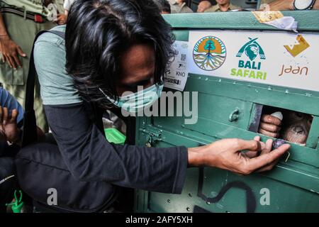 Jakarta, Indonésie. 25Th Dec 2019. Un membre du personnel rss un bébé orang-outan dans une cage après l'atterrissage à l'aéroport le Kualanamu à Medan, au nord de Sumatra, Indonésie, le 17 décembre 2019. Un bébé orang-outan sera relâché dans la nature dans le Nord de Sumatra. Un trafiquant russe drogué et il n'a pas réussi à faire de la contrebande hors de Bali. Credit : Alberth Damanik/Xinhua/Alamy Live News Banque D'Images