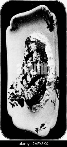 . Ce que d'avoir pour déjeuner. propre un quart de tasse de sucre dans un hotpan, ajouter une cuillère à soupe d'eau chaude et de crème au caramel209 remuez-le dans une pinte de lait chaud ; pour thisover trois d'oeuf, légèrement battu, ajouter du sel et un adash-demi-cuillerée à thé de va-nilla. Verser dans des petits moules, butteredslightly stand dans une casserole d'eau chaude andbake à environ 15 minutes, ou jusqu'à l'anda ferme-couteau en ressorte propre. A froid, le taux de participation et servir avec la sauce au caramel : Faire fondre un.-demi-tasse en ofsugar une omelette pan, remuer, et whenbrown ajouter une demi-tasse d'eau. simmerten minutes et servir à froid. Sponcfe au lait Banque D'Images