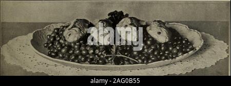 . Il tenminutes. cuisine américaine, puis assaisonner selon le besoin andstrain dans un bol. Les pommes de terre, pared,étuvé à dix minutes et drainé, peut-être ajouté à la cocotte ou thirtv fortv minutes avant de servir. Pour servir, cutthe la viande en tranches minces aux graisses qui andlean, assaisonner et faire partie chaude de pac de pois, pour ces sur le meatand servent à la fois. Le riz-poulet-et Ces croquettes croquettes sont suggérés comme loin de l'utilisation d'une petite quantité d'chickenor à gauche après la Turquie a beenserved pintade rôti froid et chaud. Retirez tous les morceaux de choix de viande les os,les couper en petits morceaux et mettre de côté. Banque D'Images