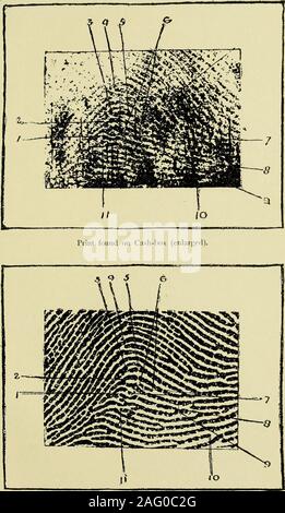 . Guide pour l'identification d'empreintes digitales [ressource électronique]. ts que le côté gauche du centre ou coreof le motif a été le point de départ. Pourquoi devrions-nous beginthere ? Pourquoi la défense nationale soient handicapés par les méthodes de l'accusation ? Supposons qu'en l'occurrence, nous avons commencer à le droit sidefrom le haut de la structure, nous allons trouver l'élément élément après ofa type clair et vigoureux dans le pouce-print qui ne peuvent pas être tracedin la caisse aux salissures. De plus, supposons que nous trouvons au début de notre explication somany points successifs de désaccord réel, combien d'thosedivergences Banque D'Images