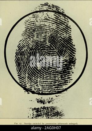 . Guide pour l'identification d'empreintes digitales [ressource électronique]. n voir,un ajustement peut être fait par la mesure, et un simple calculationby la règle de trois permettra à la relation spatiale à bedetermined. Les linéations d'autres devrait alors soit actuallyconform, ou se conformer à due proportion si les origines sontidentiques. Pour trouver un centre provisoire ou pratiques pour le cercle qui n'est généralement difficile. Le cœur même du motif peut contenir des anisolated dot entouré par un anneau, comme dans fig. 8. Cette dot, ou itscenter, devrait normalement être assez précis. Encore une fois, l'intérieur ou de l'outerangle Banque D'Images