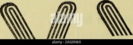 . Guide pour l'identification d'empreintes digitales [ressource électronique]. n La vie quotidienne.Si l'on prend soin de l'instant de la découverte en cas de crime, goodphotographs peut habituellement être obtenu à partir de n'importe quel de ces matériaux.La diversité des conditions dans lesquelles ils sont faits impliquera carefulconsideration de chaque cas. Les criminels dans la hâte et l'urgence ofsome acte d'obscurité ne restent à examiner soigneusement le wantsof le juriste, mais dans ces conditions très imprintshave remarquablement bien souvent été faites, menant à bien une preuve circonstancielle, et de culpabilité par un jury. Cette unprem et accidentels Banque D'Images