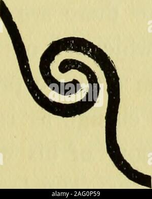 . Guide pour l'identification d'empreintes digitales [ressource électronique]. Banque D'Images