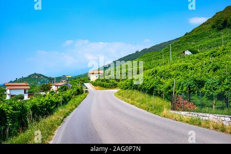 Valdobbiadene, Italie, le Prosecco vignobles de la région de collines de Conegliano Valdobbiadene Banque D'Images