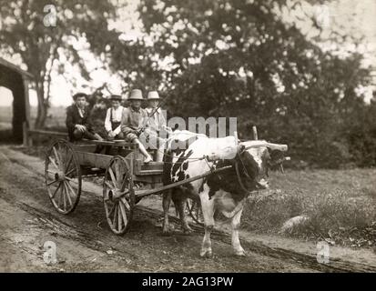 L'agriculture au Canada c.1920 - ferme quatre enfants sur un chariot tiré par un bœuf / taureau dans le faisceau Banque D'Images