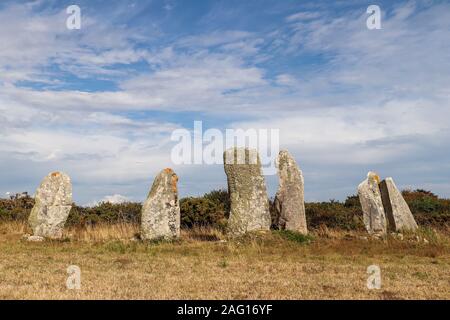 Les Alignements de l'ancien Moulin - Alignements du Vieux-Moulin - le reste des lignes de menhirs sur le pré près de Plouharnel, Bretagne, France Banque D'Images
