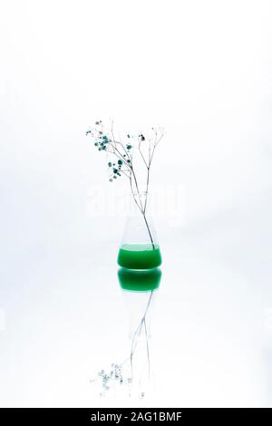 Branche de fleurs sauvages dans un bécher de laboratoire avec un liquide vert et de fumée. Banque D'Images