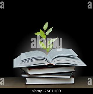 Arbre qui pousse à partir de livre ouvert Banque D'Images