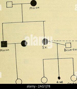 . La proportion de troubles mentaux en Virginie : un rapport spécial de l'État Conseil d'organismes de bienfaisance et des corrections à l'assemblée générale de dix-neuf seize sur la faiblesse d'esprit dans l'état de Virginie, ainsi qu'un plan pour la formation, la ségrégation et la prévention de la procréation des faibles d'esprit. Résultats de l'essai psychologique. Le logicalconclusion est que la faiblesse d'esprit est responsable en grande partie de la façon dont-wardness de ces femmes, et qu'ils ne devraient pas être punis pour avoir fait thatwhich leur hérédité fait presque certain, mais la société doit les séparer wherethey seront protégés fr Banque D'Images
