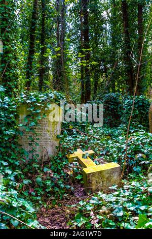 Abney Park Cemetery, Londres, UK Banque D'Images