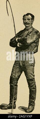 . La manière de gérer et d'éduquer les chevaux vicieux. bleedingquite la plaie librement. La nuit suivante j'ai fait l'étalon ne astuces afew avant l'audience, comme le comité permanent sur l'abox avec l'un de l'avant pied et en maintenant l'autre jusqu'andputting le à la parole de commandement ; aussi tiltingon une planche posée twro pieds et demi du sol.J'ai ensuite fait de lui suivre un étranger arenalike la ronde un chien. Le jeudi après-midi, je le pousse sur le Boulevard (il a été dit ce cheval était dan-gerous à conduire sur la route), et l'étalon andmyself avait photographié. Vendredi, le^sshipped étalon w haut de la Montre Banque D'Images