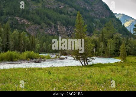 L'Altaï, les montagnes de l'Altaï, de la vallée de la rivière Kucherla Banque D'Images