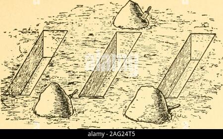 . Entomologie sanitaires ; l'entomologie de la maladie, de l'hygiène et l'assainissement. rtrtorAita Fig. 3.-petit incinérateur de la Ferguson, pour utilisation type de petites unités, et capable de transport (Mann). La gravité des maladies transmises par les insectes aux armées 47 -- :^^^^j- -^^^ ^^^^. Fig. 4.-Poste de latrines, tranchées 1 pieds de large, 2 pieds de profondeur, 3 mètres de long, pour le champ de l'opéra-tions à emplacements temporaires (Mann). Banque D'Images