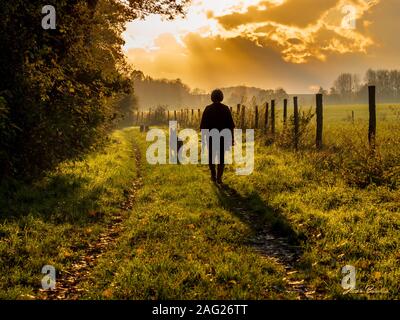 Femme qui promène son chien sur un chemin de campagne en fin de journée face au soleil d'automne qui perce les nuages avec de magnifiques rais de lumi Banque D'Images