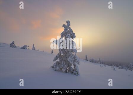 Scène hiver À Pallastunturi, Parc National de Pallas-Yllästunturi (Pallas-Yllästunturin kansallispuisto), Muonio, Finlande Banque D'Images