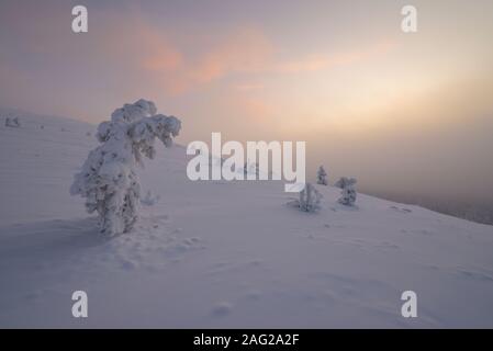 Scène hiver À Pallastunturi, Parc National de Pallas-Yllästunturi (Pallas-Yllästunturin kansallispuisto), Muonio, Finlande Banque D'Images