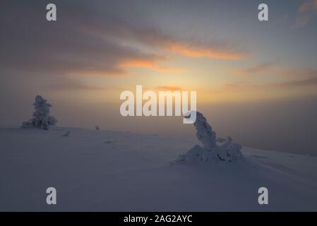 Scène hiver À Pallastunturi, Parc National de Pallas-Yllästunturi (Pallas-Yllästunturin kansallispuisto), Muonio, Finlande Banque D'Images