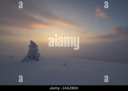 Scène hiver À Pallastunturi, Parc National de Pallas-Yllästunturi (Pallas-Yllästunturin kansallispuisto), Muonio, Finlande Banque D'Images