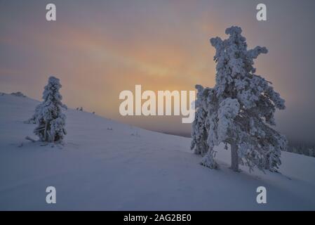 Scène hiver À Pallastunturi, Parc National de Pallas-Yllästunturi (Pallas-Yllästunturin kansallispuisto), Muonio, Finlande Banque D'Images