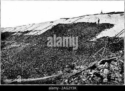 . Principes de l'ingénierie de l'irrigation, les terres arides, l'approvisionnement en eau, l'entreposage, de barrages, de canaux, les droits de l'eau et de produits. Fig. a.-mur de béton en barrage en terre. Projet de Carlsbad, Nouveau Mexique.. Banque D'Images