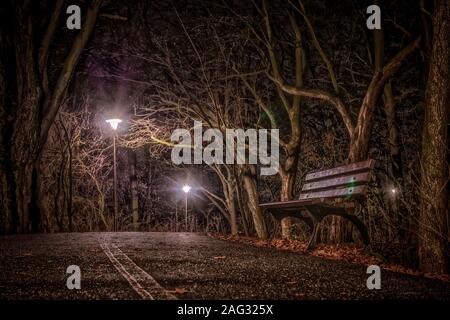 Parc sur l'Île Bolko à Opole dans la nuit Banque D'Images
