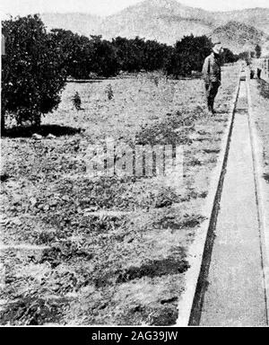 . Principes de l'ingénierie de l'irrigation, les terres arides, l'approvisionnement en eau, l'entreposage, de barrages, de canaux, les droits de l'eau et de produits. Fig. a.-alcali télévision, anciennement un précieux farm, aujourd'hui ruiné par la négligence de irrigationand manque de drainage. ^^^^* mt ***"s"g^^ !. ^ Banque D'Images