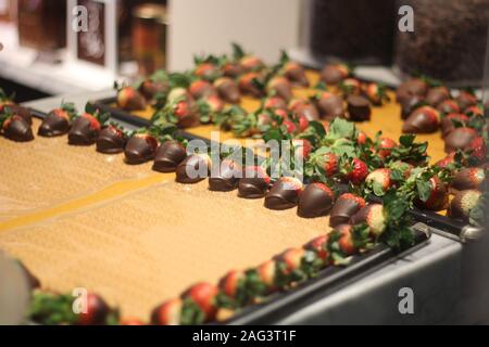 Fraises enrobées de chocolat sur un plateau pris à Las Vegas Banque D'Images