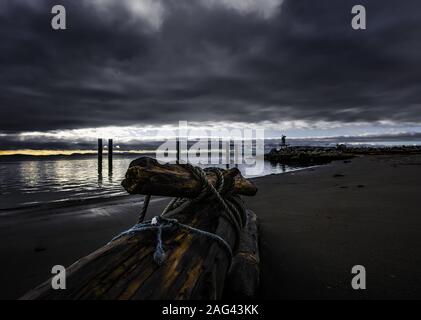 Belle vue sur une ancienne bûche de bois sur la plage près de la mer sous les nuages de tempête avant de fortes pluies Banque D'Images