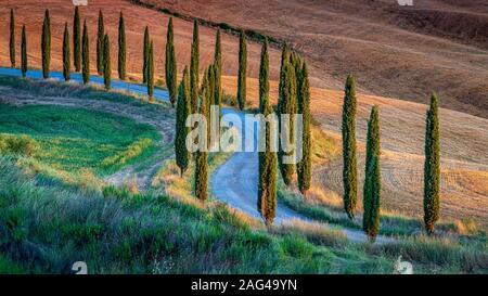 Photo à couper le souffle d'un chemin entouré de peupliers dans les collines Banque D'Images